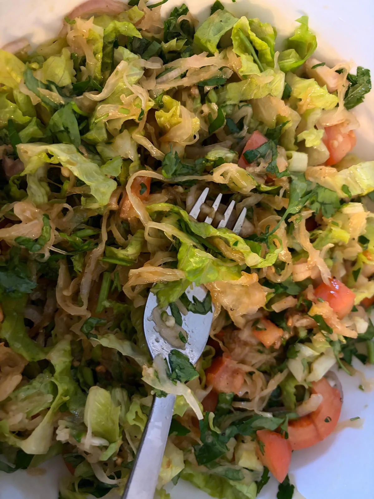 Gemischter Salat mit Sauerkraut