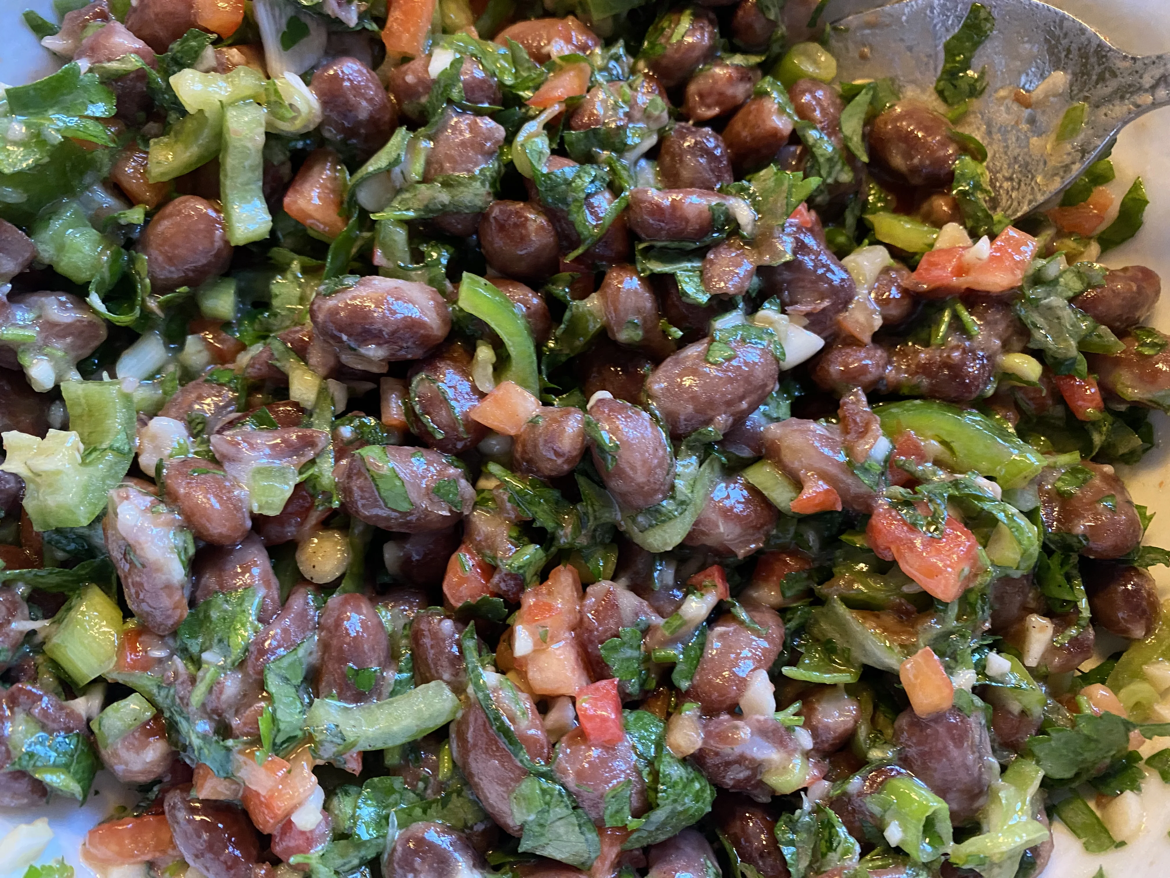Salada de Feijão Pinto
