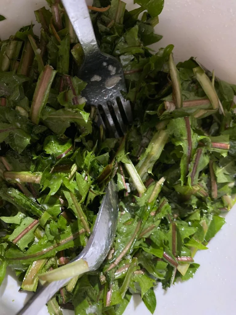 野生蒲公英沙拉